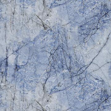 G2781203TP1 Blu-ray Phantom