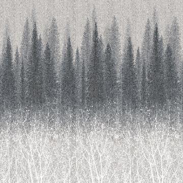 Morning mist forest HA24081856Y